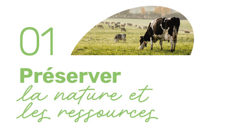 Illustration du premier pilier de notre stratégie RSE : Préserver la nature et les ressources
