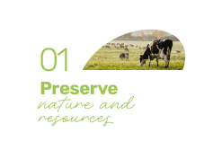 An illustration of the first pillar of our CSR strategy: Preserving nature and resources