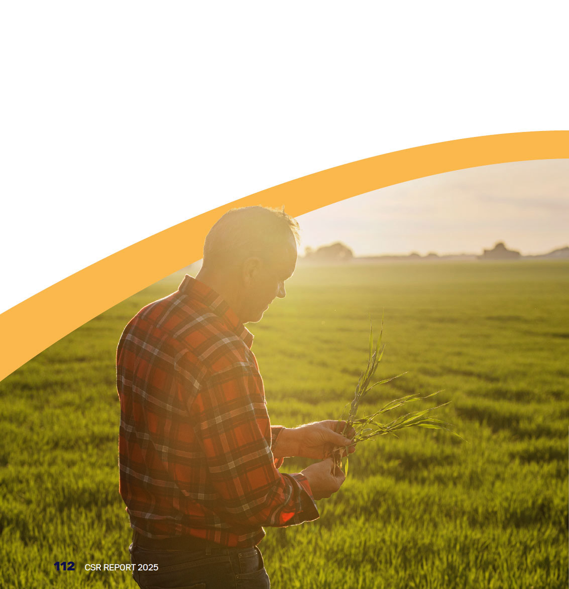 Photo of a farmer in a field